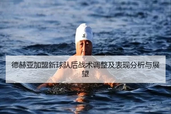德赫亚加盟新球队后战术调整及表现分析与展望